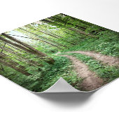 森に入る ポスター (角)