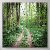 森に入る ポスター (正面)