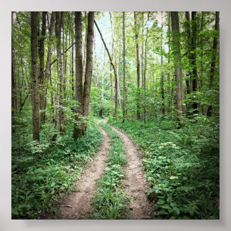 森に入る ポスター