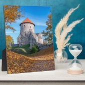 森に囲まれた中世の城 フォトプラーク (側面)