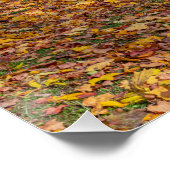 森に囲まれた中世の城 ポスター (コーナー)