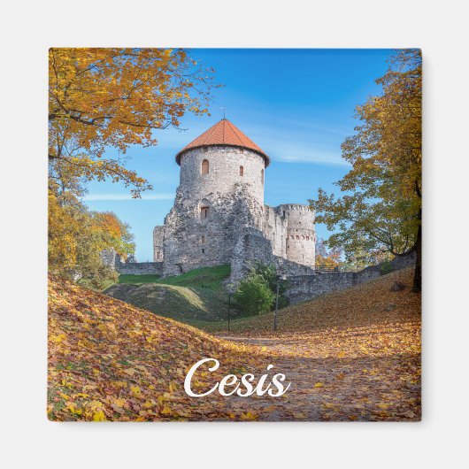 森に囲まれた中世の城 マグネット (正面)