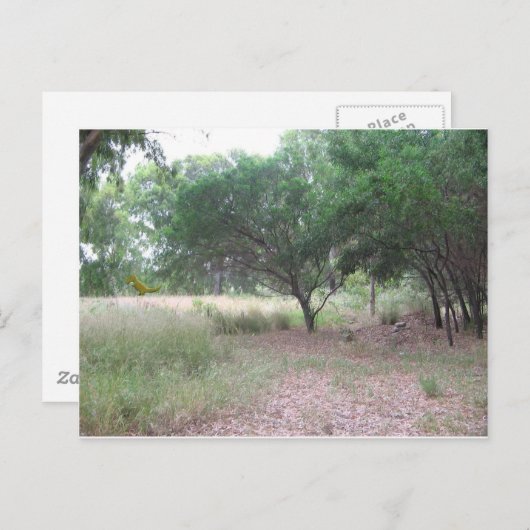 森に恐竜がいる… ポストカード (正面/裏面)