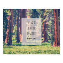 森に行く |ポスター