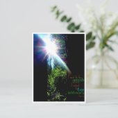 森に ポストカード (スタンド正面)