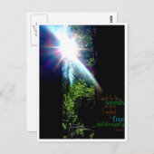 森に ポストカード (正面/裏面)