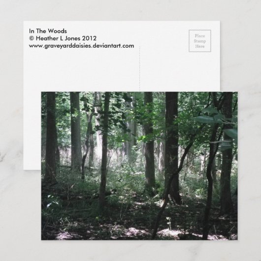 森に ポストカード (正面/裏面)