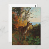 森のはがきに乗ったかわいい鹿 ポストカード (正面/裏面)