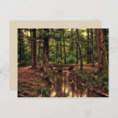 森のはがきに ポストカード (正面/裏面)