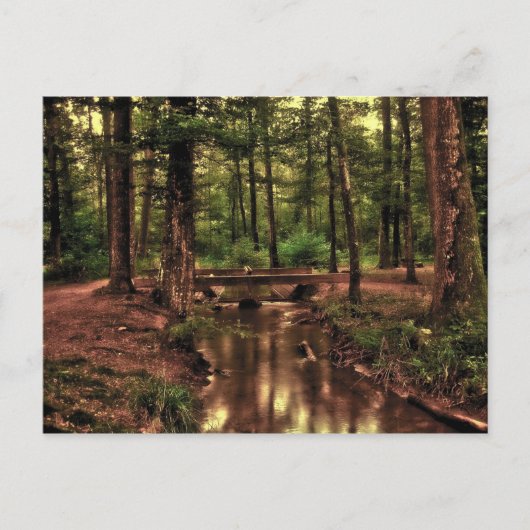森のはがきに ポストカード (正面)