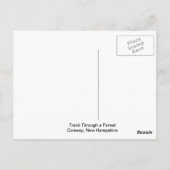 森のはがきを通る ポストカード (裏面)