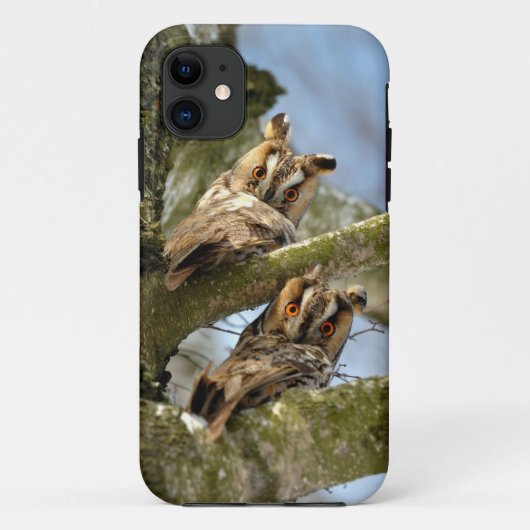 森のふたりのフクロウ、鳥、野生生物Case-Mate i Case-Mate iPhoneケース (裏面)