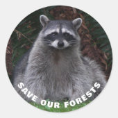 森のアライグマ野生生物 ラウンドシール (正面)