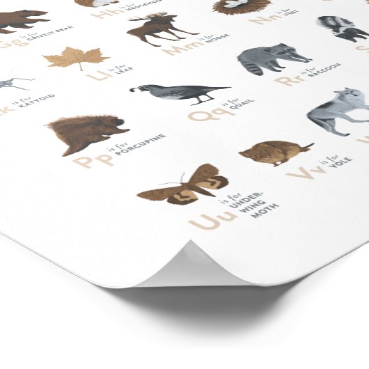 森のアルファベット動物 ABC ナースリー装飾 ポスター (角)