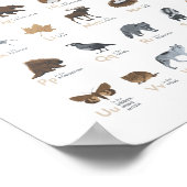 森のアルファベット 動物 ABC 幼児 部屋 装飾 ポスター (角)