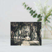 森のイメージの郵便はがきの不気味な幽霊 ポストカード (スタンド正面)