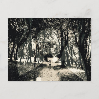 森のイメージの郵便はがきの不気味な幽霊 ポストカード