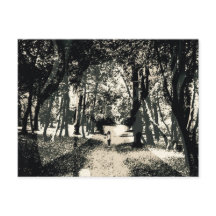 森のイメージの郵便はがきの不気味な幽霊