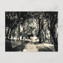 森のイメージの郵便はがきの不気味な幽霊 ポストカード
