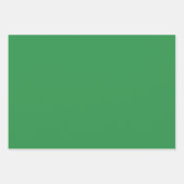 森のエレガント緑のミニマル主義とシック ラッピングペーパーシート (正面3)