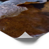 森のカラフル床のポスターに囲まれた岩 ポスター (角)