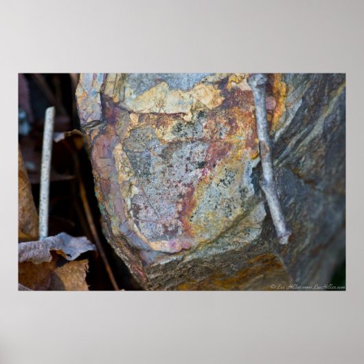 森のカラフル床のポスターに囲まれた岩 ポスター (正面)