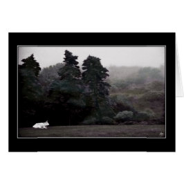 森のカードに絵を描対する白い牛