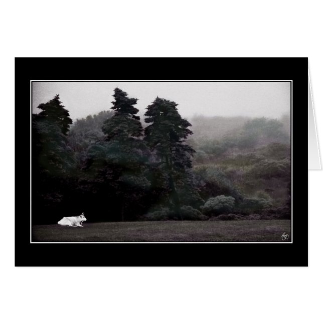 森のカードに絵を描対する白い牛 (正面横)