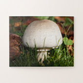 森のキノコ畑 ジグソーパズル (横)