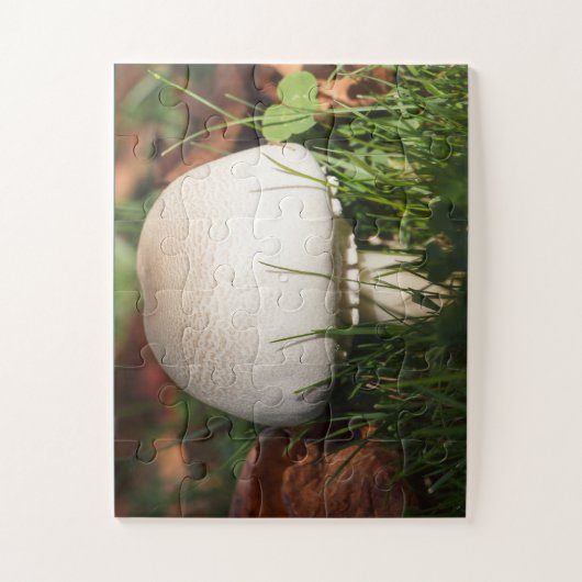 森のキノコ畑 ジグソーパズル (縦)