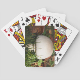 森のキノコ畑 トランプ