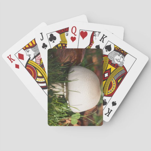 森のキノコ畑 トランプ (裏面)