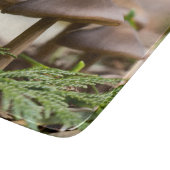 森のキノコ カッティングボード (角)