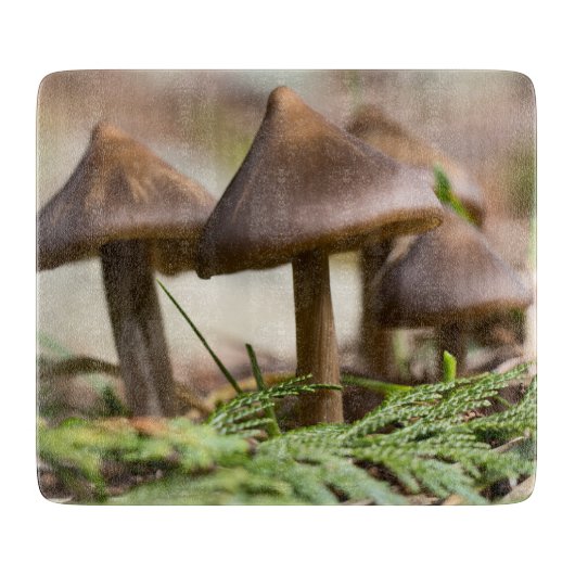 森のキノコ カッティングボード (正面)