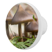 森のキノコ セラミックノブ (右)