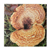 森のキノコ タイル (正面)