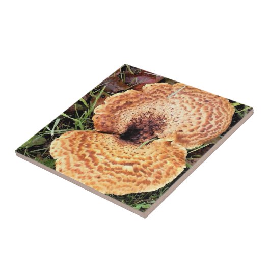 森のキノコ タイル (側面)