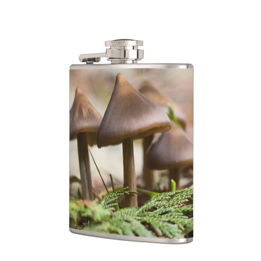 森のキノコ フラスク (左)