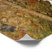 森のキノコ ポスター (角)