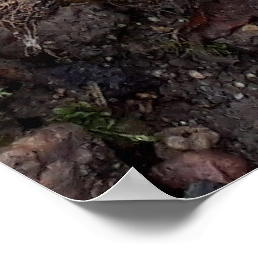 森のキノコ ポスター (角)