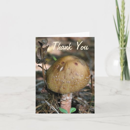 森のキノコ 自然の感謝カード サンキューカード (正面)