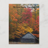 森のキャビン ポストカード (正面)