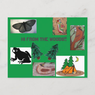 森のキャンプからこんにちは ポストカード