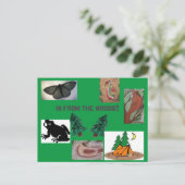 森のキャンプからこんにちは ポストカード (スタンド正面)