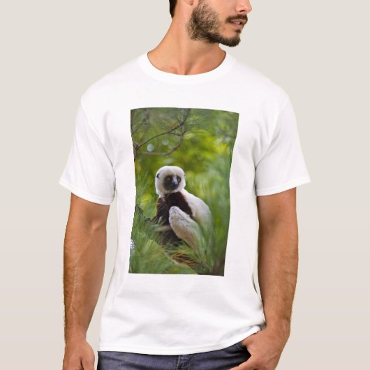 森のクケレルシファカ 2 Tシャツ (正面)