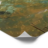 森のクマの親子 ポスター (角)