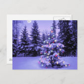森のクリスマスツリー シーズンポストカード (正面/裏面)
