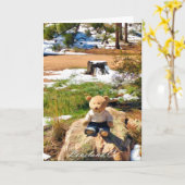 森のグリーティングカーおもしろいドに忍び込む カード (黄色い花)