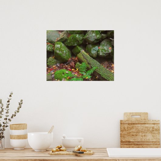 森のコケ ポスター (キッチン)