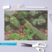 森のコケ 薄葉紙 (クラフト)